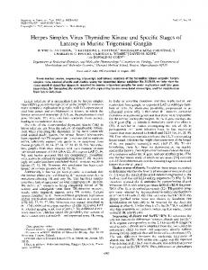 Herpes Simplex Virus Thymidine Kinase and ... - Journal of Virology