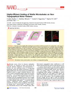 Highly-Efficient Guiding of Motile Microtubules on ... - ACS Publications
