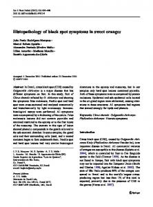 Histopathology of black spot symptoms in sweet oranges - USP