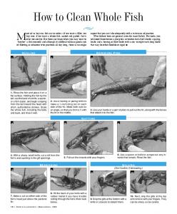 How to Clean a Fish - ModernSurvivalOnline.com
