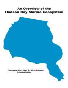 Hudson Bay Marine Ecosystem