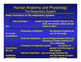 Human Anatomy and Physiology
