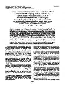 Human Immunodeficiency Virus Type 1 Infection ... - Journal of Virology
