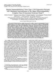 Human Immunodeficiency Virus Type 1 Nef ... - Journal of Virology