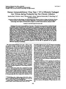 Human Immunodeficiency Virus Type 1 Vif Is ... - Journal of Virology