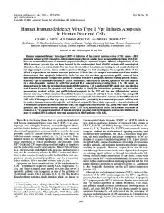 Human Immunodeficiency Virus Type 1 Vpr ... - Journal of Virology