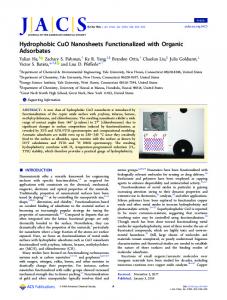 Hydrophobic CuO Nanosheets Functionalized with Organic Adsorbates