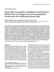 Hypertrophic Neuropathies and Malignant Peripheral Nerve Sheath ...