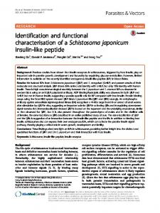 Identification and functional characterisation of a Schistosoma ...