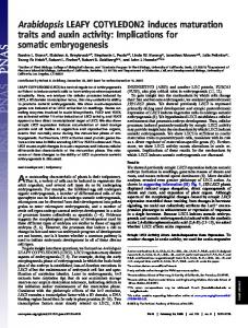 Implications for somatic embryogenesis - Molecular, Cell, and ...