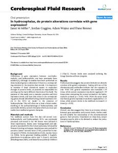 In hydrocephalus, do protein alterations correlate with gene expression?