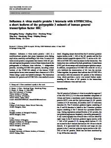 Influenza A virus matrix protein 1 interacts with ... - Springer Link