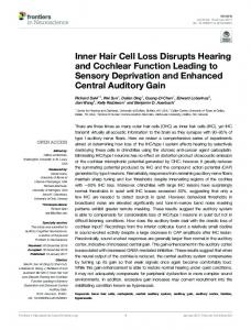 Inner Hair Cell Loss Disrupts Hearing and Cochlear ... - Frontiers