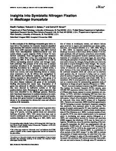Insights into Symbiotic Nitrogen Fixation in Medicago ... - APS Journals