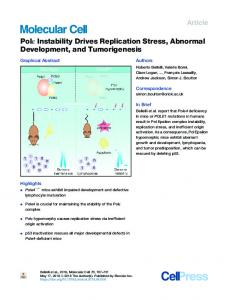 Instability Drives Replication Stress, Abnormal Development, and ...