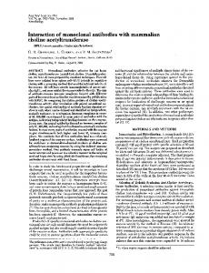 Interaction of monoclonal antibodies with mammalian choline ...