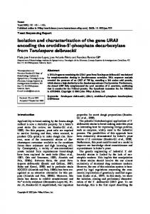 Isolation and characterization of the gene URA3 encoding the ...