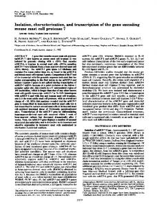 Isolation, characterization, and transcription of the gene encoding ...