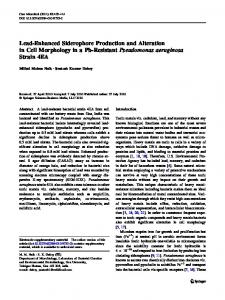 Lead-Enhanced Siderophore Production and ... - Springer Link