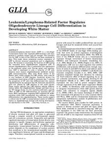 Leukemia/lymphomarelated factor regulates ... - Wiley Online Library