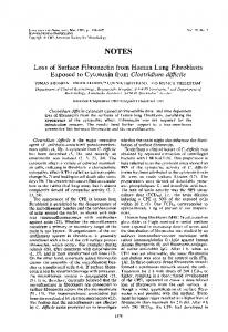 Loss of Surface Fibronectin from Human Lung Fibroblasts Exposed to ...