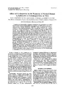 Lymphocytes to Cytomegalovirus In Vitro - Infection and Immunity