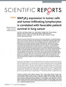MAP3K3 expression in tumor cells and tumor