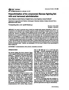 Masculinization of the ornamental Siamese fighting fish ... - ScienceAsia