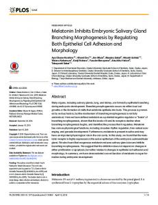 Melatonin Inhibits Embryonic Salivary Gland ... - Semantic Scholar