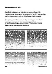 Metabolic indicators of oxidative stress correlate ... - Wiley Online Library