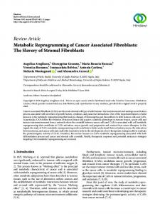 Metabolic Reprogramming of Cancer Associated Fibroblasts: The ...