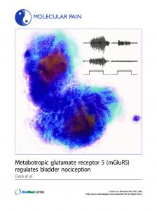 Metabotropic glutamate receptor 5 (mGluR5 ... - Semantic Scholar