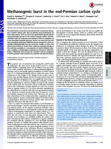 Methanogenic burst in the end-Permian carbon cycle - PNAS
