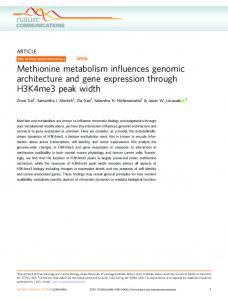 Methionine metabolism influences genomic architecture and ... - Nature