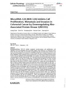 MicroRNA-124 (MiR-124) Inhibits Cell Proliferation