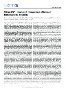 MicroRNA-mediated conversion of human fibroblasts to neurons