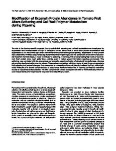 Modification of Expansin Protein Abundance in Tomato Fruit Alters ...