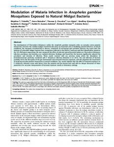 Modulation of Malaria Infection in Anopheles gambiae ... - CiteSeerX
