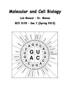 Molecular and Cell Biology Lab