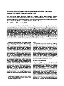 Monoclonal Antibodies against Pig Ovarian