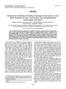Monoclonal Antibodies Providing Topological ... - Journal of Virology
