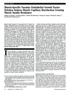 Muscle-Specific Vascular Endothelial Growth Factor ... - BioMedSearch