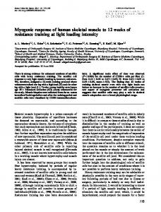 Myogenic response of human skeletal muscle to ... - Wiley Online Library