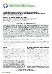 Mytilus galloprovincialis - BioInfo Publication