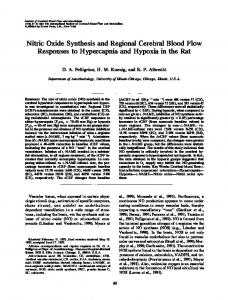 Nitric Oxide Synthesis and Regional Cerebral Blood ... - SAGE Journals