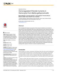 Osmoregulated Chloride Currents in Hemocytes