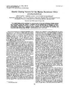 parahaemolyticus - Journal of Bacteriology - American Society for ...