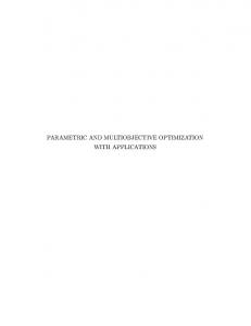 Parametric and Multiobjective Optimization with Applications in Finance