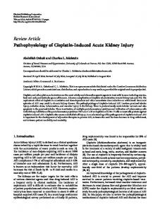 Pathophysiology of Cisplatin-Induced Acute Kidney Injury