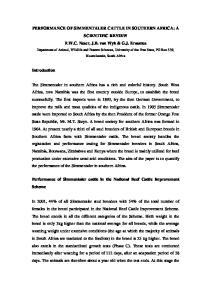 performance of simmentaler cattle in southern africa